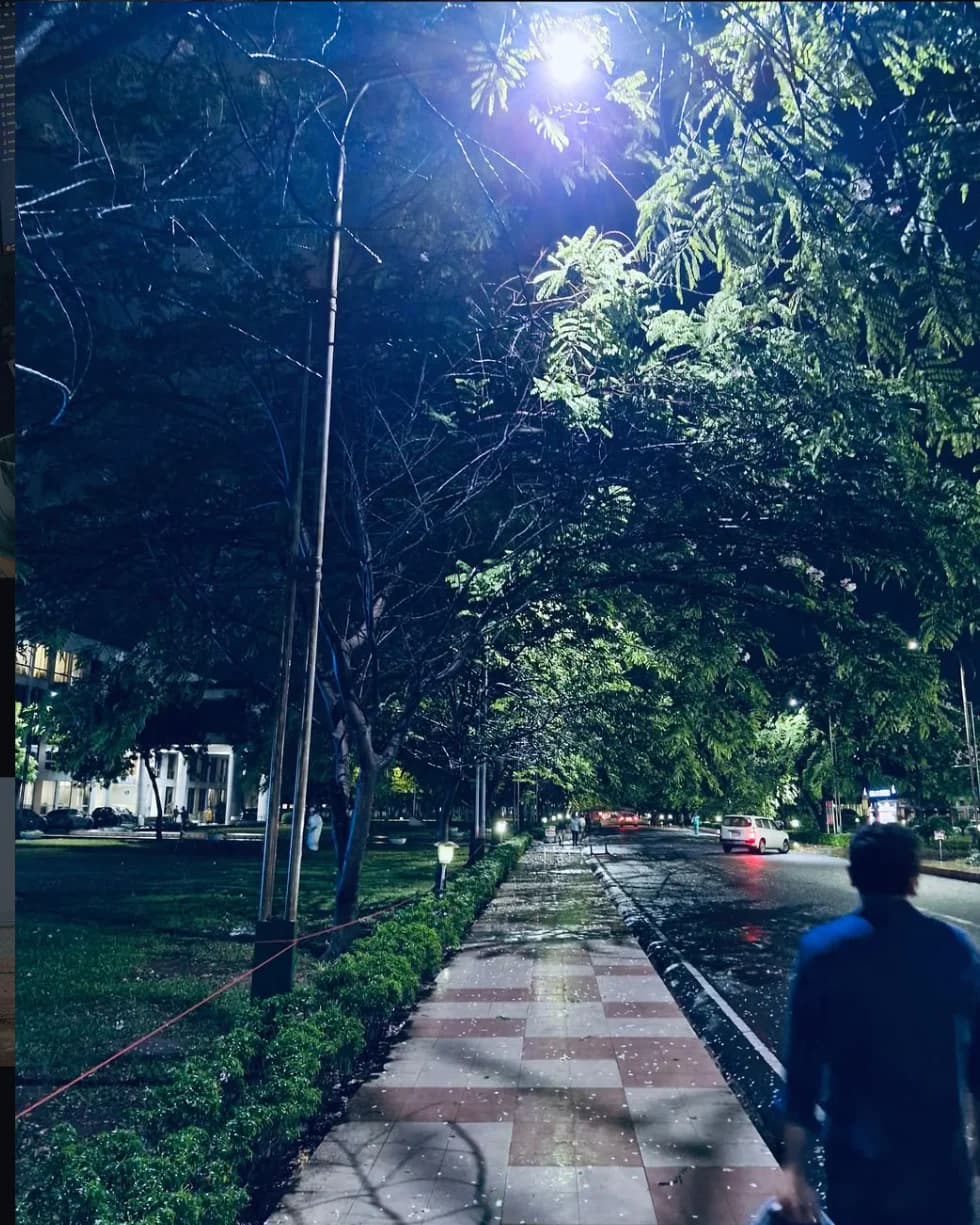 A tree-lined checkered footpath at night, lit by a streetlight