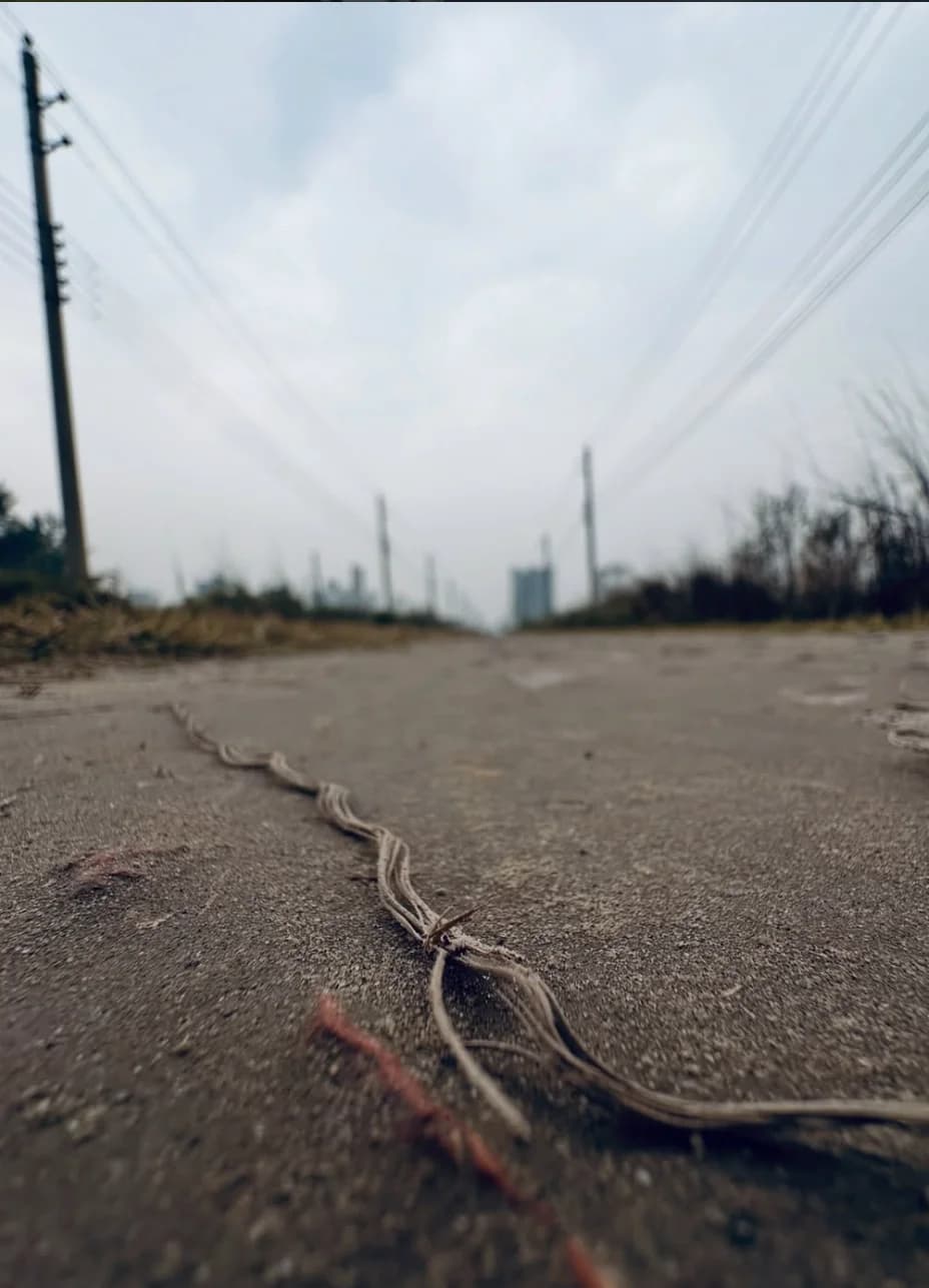 Loose wires crossing an empty road under overcast sky